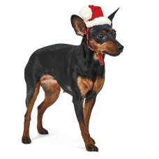 Ковпак для собак Pet Fashion Новорічний XS