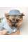 Панама для собак Pet Fashion Blue XS
