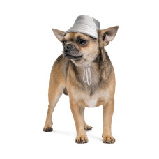 Панама зимова для собак Pet Fashion «Party» S