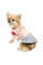 Сукня для собак Pet Fashion «Спейс» S