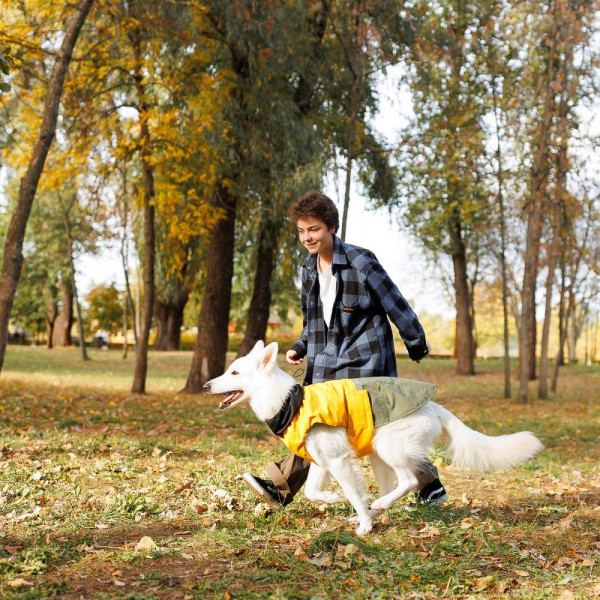 Попона для собак Pet Fashion «Roy» XL