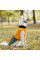 Попона для собак Pet Fashion «Roy» XL