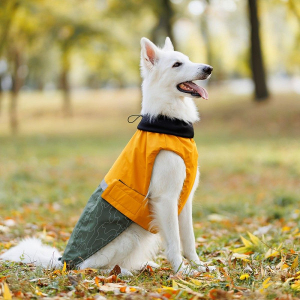 Попона для собак Pet Fashion «Roy» XL