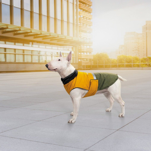 Попона для собак Pet Fashion «Roy» XL