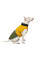 Попона для собак Pet Fashion «Roy» XL