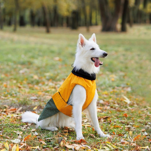 Попона для собак Pet Fashion «Roy» XL