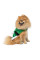 Попона для собак Pet Fashion Santa XS-2