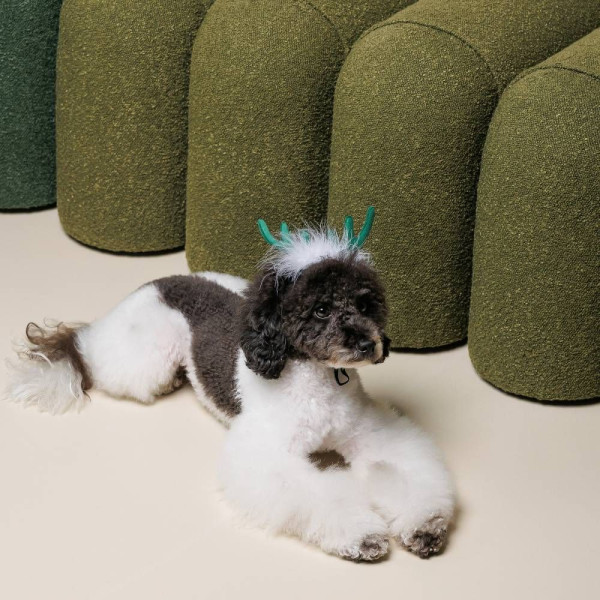 Ріжки для собак Pet Fashion Deer M-L