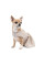 Сарафан для собак Pet Fashion Miya XS