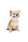 Шапка для собак Pet Fashion Teddy XS