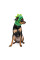 Шапка для собак Pet Fashion Dragon XS