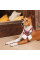 Шарф для собак Pet Fashion Happy XS-S