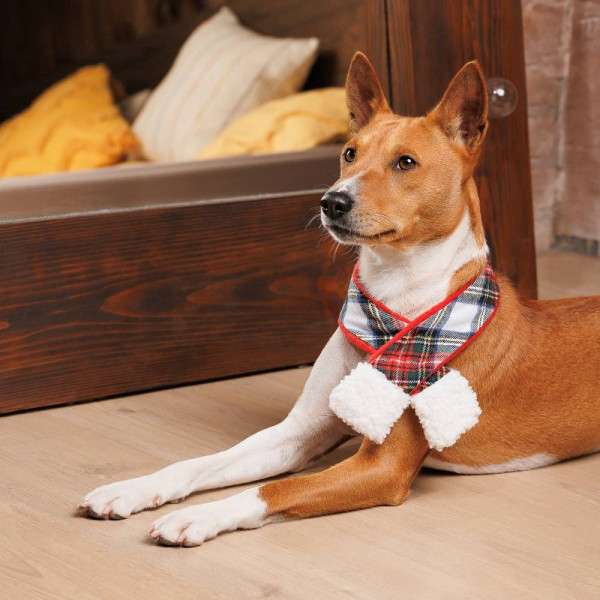 Шарф для собак Pet Fashion Happy XS-S