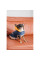 Шлея для собак Pet Fashion Poppy XS