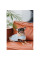 Шлея для собак Pet Fashion Rob XS