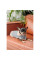 Шлея для собак Pet Fashion Rob XS