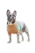 Светр для собак Pet Fashion Rich XS такса