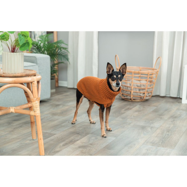 Светр для собак Trixie CityStyle Berlin XS