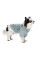 Светр для собак Pet Fashion Fur XS-2