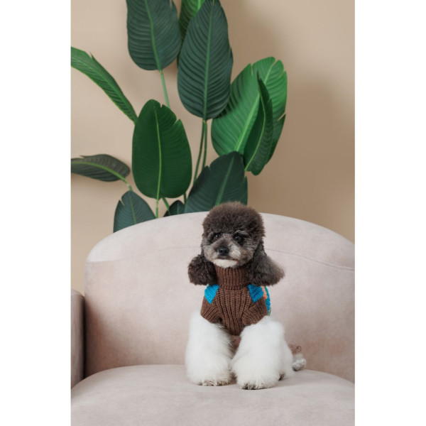 Светр для собак Pet Fashion Happy XS