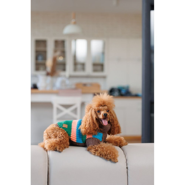 Светр для собак Pet Fashion Happy XS