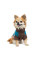 Светр для собак Pet Fashion Happy XS