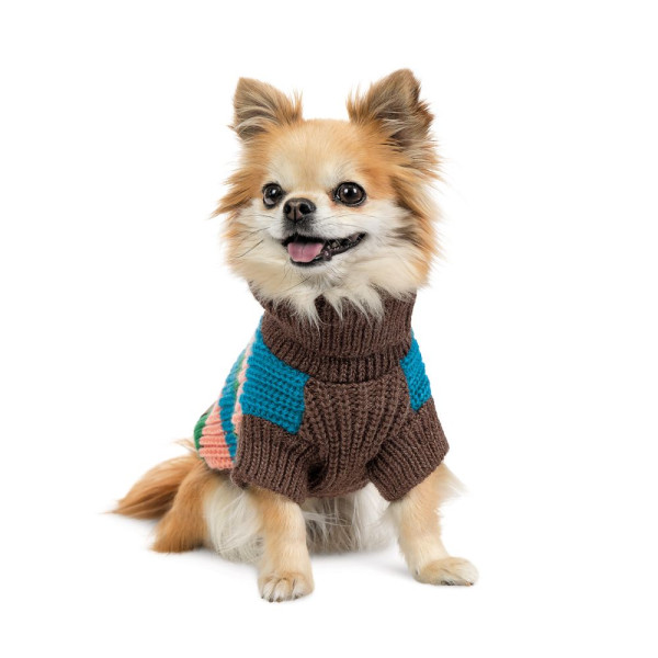 Светр для собак Pet Fashion Happy XS