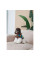 Светр для собак Pet Fashion Happy XS