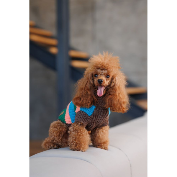 Светр для собак Pet Fashion Happy XS