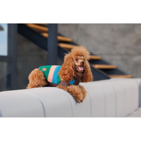 Светр для собак Pet Fashion Happy XS