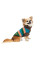 Светр для собак Pet Fashion Happy XS