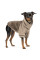 Светр для собак Pet Fashion «Nick» L