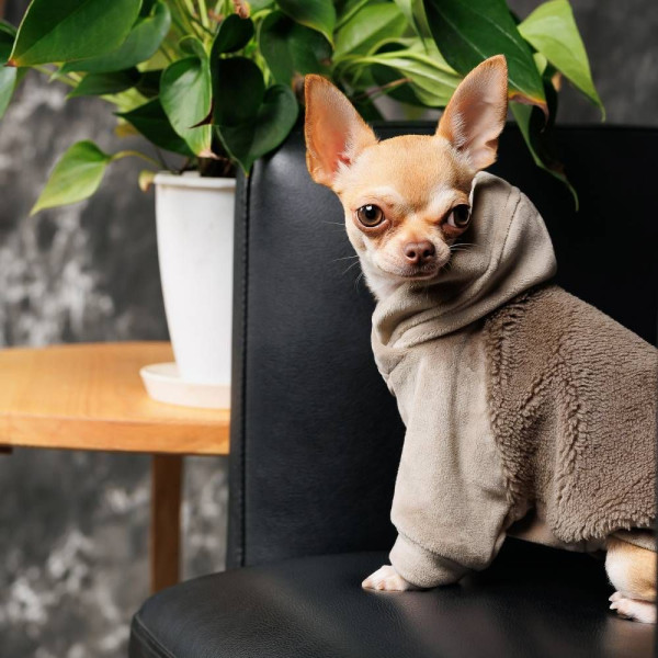 Светр для собак Pet Fashion «Nick» L