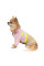Товстівка для собак Pet Fashion «Daisy» M (рожева/бежева)