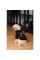 Толстовка для собак Pet Fashion Halloween XS