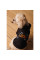Толстовка для собак Pet Fashion Halloween XS