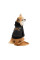 Толстовка для собак Pet Fashion Halloween XS