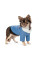 Товстівка для собак Pet Fashion Tinsel М