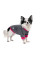 Товстівка для собак Pet Fashion Bim М