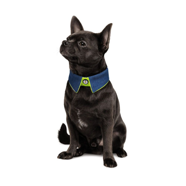 Комір для собак Pet Fashion BRIGHT XS-XS2