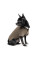 Вишиванка для собак Pet Fashion «Marco» XХS