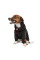 Худі для собак Pet Fashion «Snoodie» S (чорний)