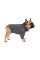 Худі для собак Pet Fashion «Snoodie» S (сірий)