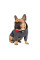 Худі для собак Pet Fashion «Snoodie» S (сірий)