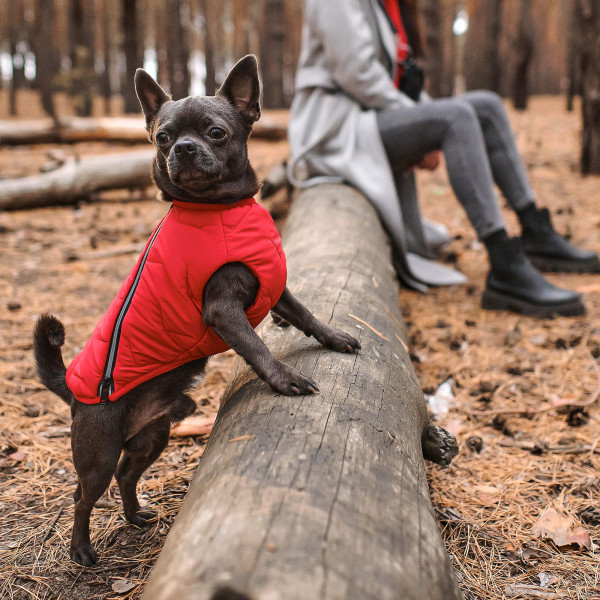 Жилет для собак Pet Fashion E.Vest S-M (червоный)