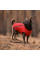 Жилет для собак Pet Fashion E.Vest S-M (червоный)