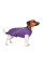 Жилет для собак Pet Fashion E.Vest XS-2 (фіолетовий)