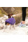 Жилет для собак Pet Fashion E.Vest XS-2 (фіолетовий)