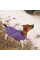 Жилет для собак Pet Fashion E.Vest XS-2 (фіолетовий)