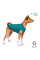 Жилет для собак Pet Fashion E.Vest XS (бірюзовий)